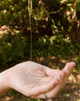 Organic Castor Oil