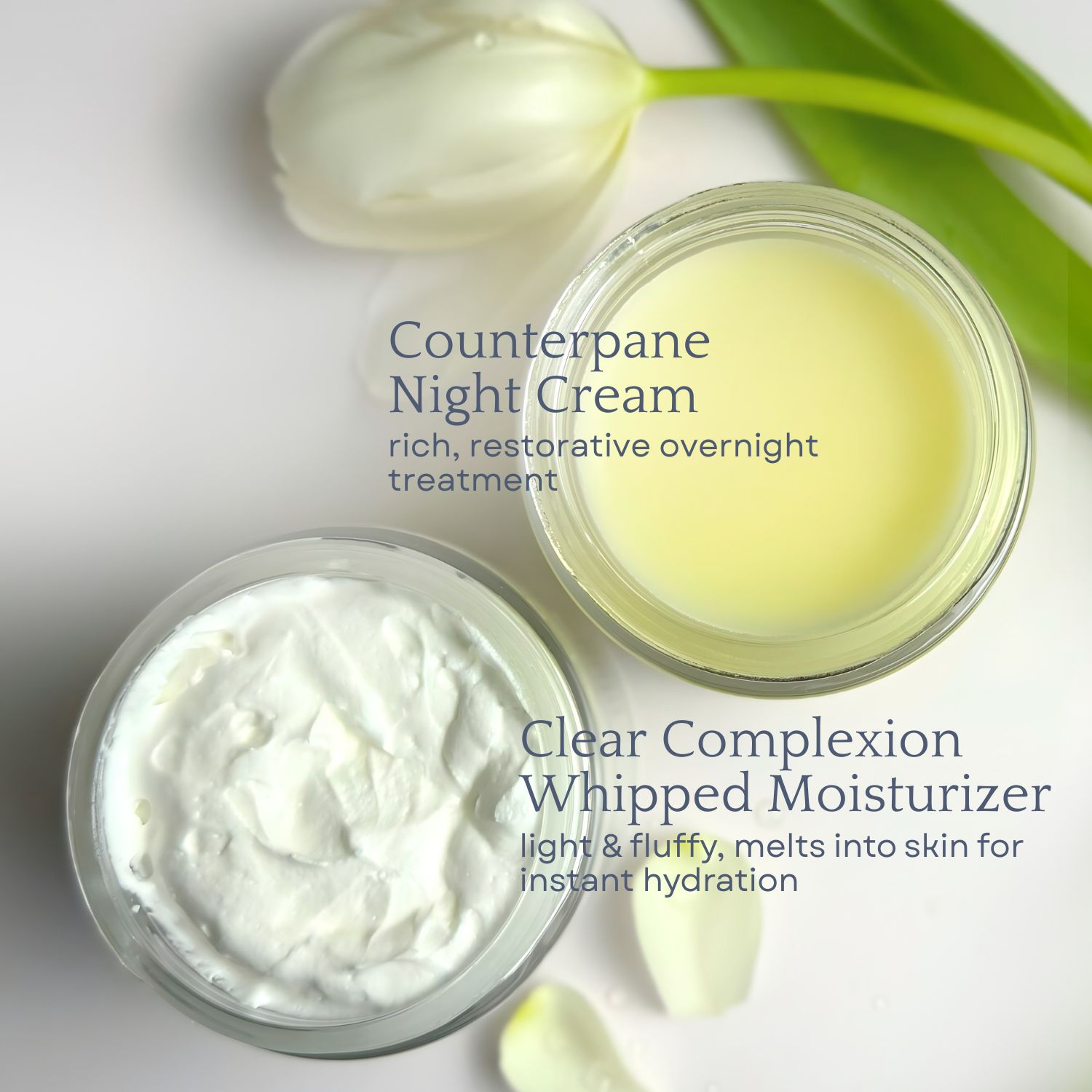 Day & Night Face Moisturizer Duo - Save Over 20% Now! – Clara