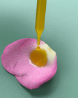 Serenity Calming Facial Serum dripping onto a pink rose petal, highlighting the nourishing botanical oils.