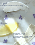 Creamy textures of whipped and unwhipped tallow with sugar scrub, part of the Capsule Skincare Kit.