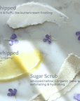 Creamy textures of whipped and unwhipped tallow with sugar scrub, part of the Capsule Skincare Kit.