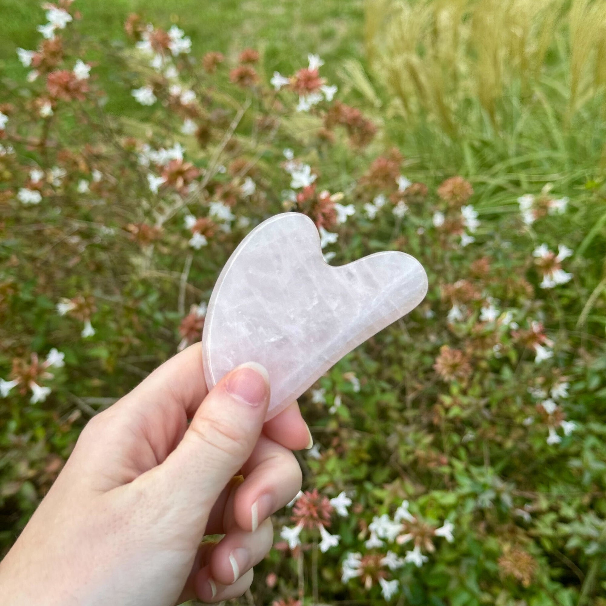 Rose Quartz Gua Sha Tool held by a left hand